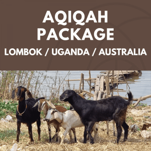 aqiqah package lombok, uganda, australia