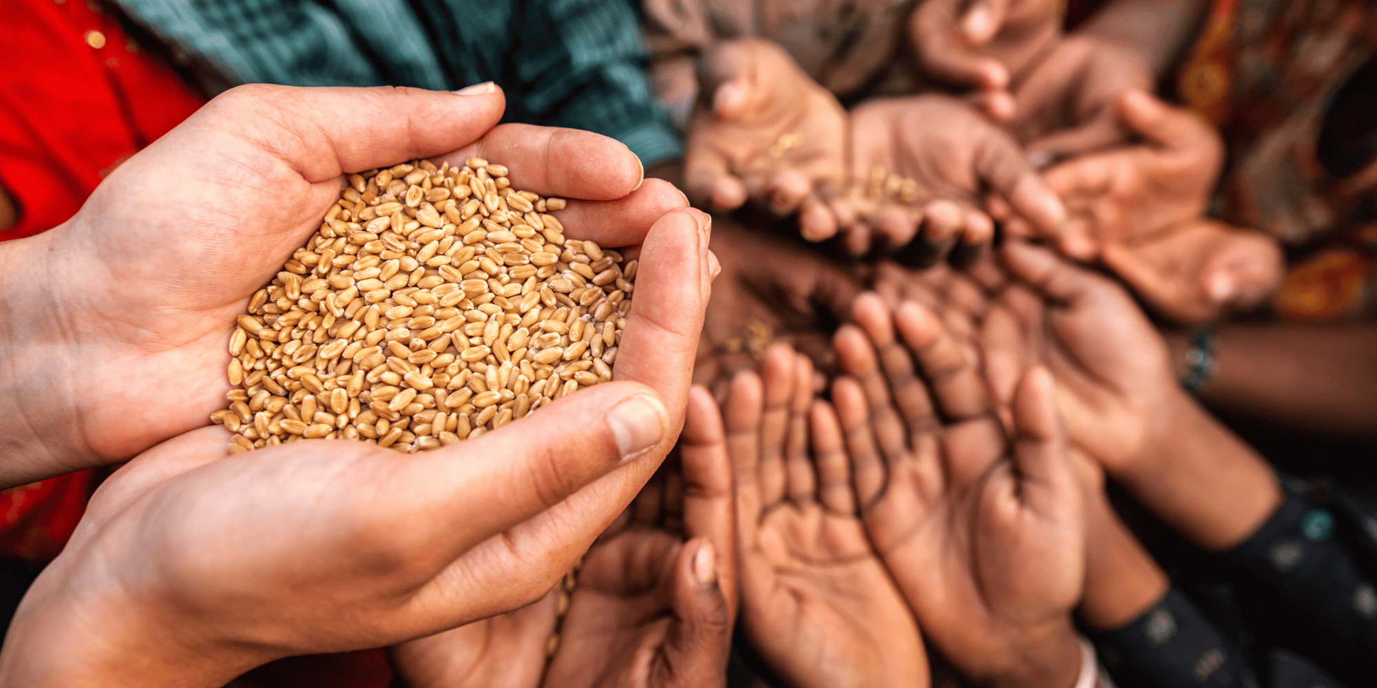 The Vision of Transformation_ A Hand Extended Across Continents​